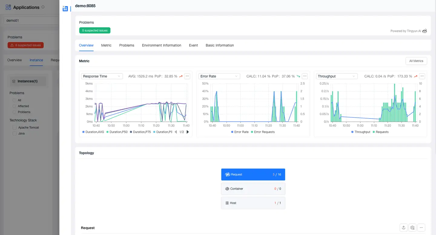 application-instance-overview