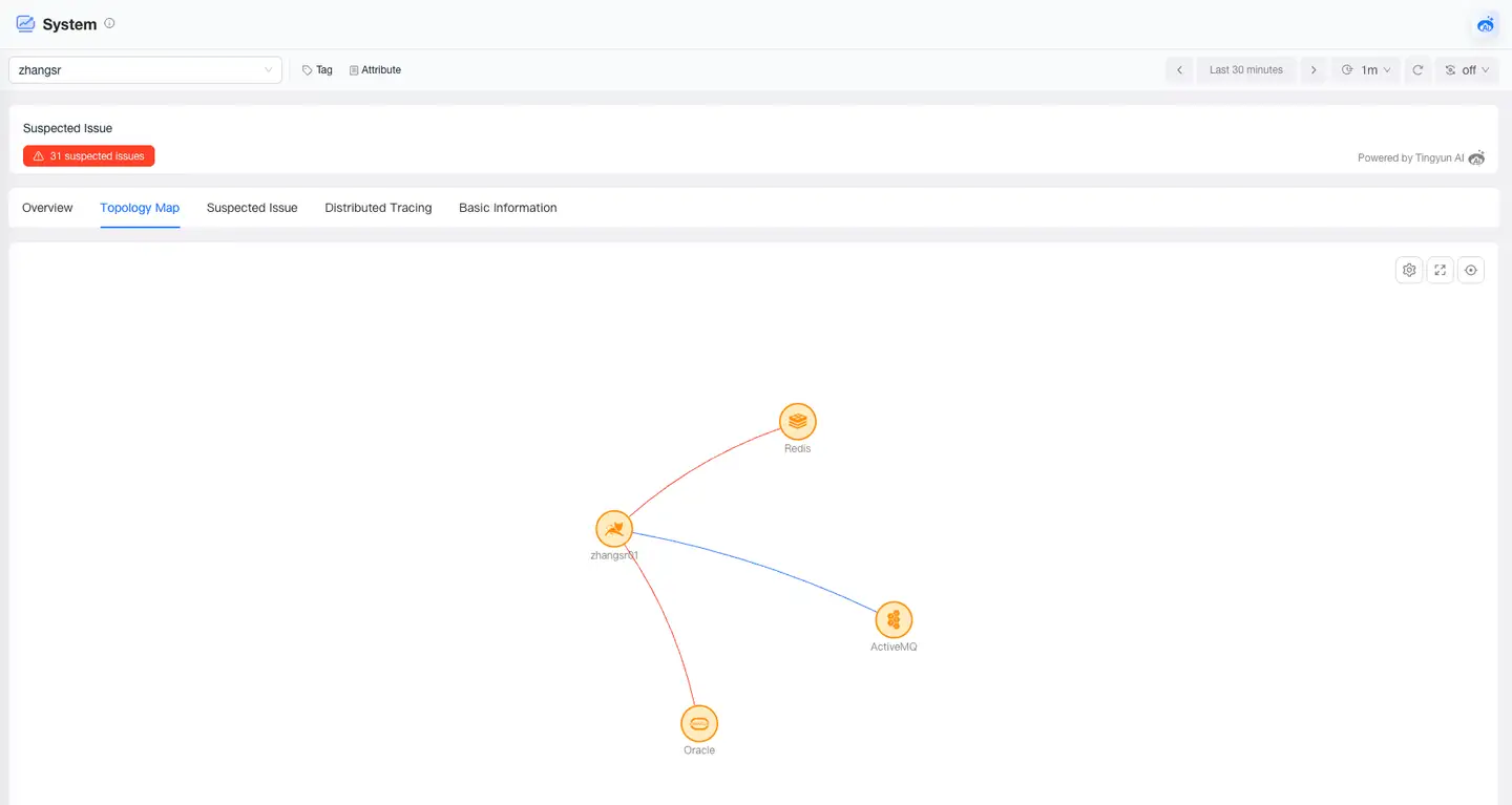 system-detail-topology